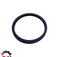 واشر ترموستات پژو 405